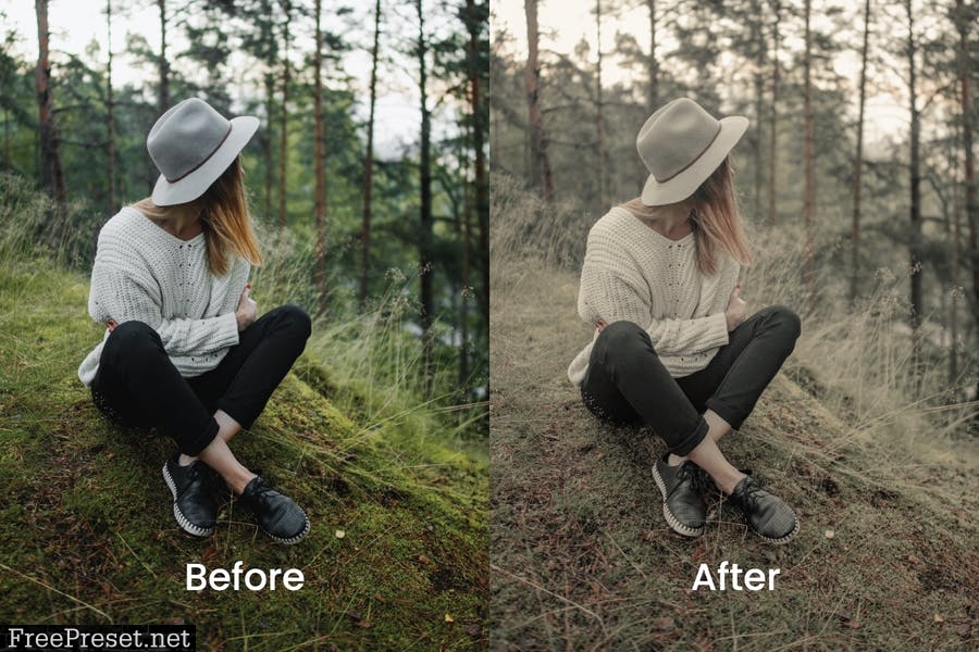 Dati Lightroom Presets Dekstop and Mobile