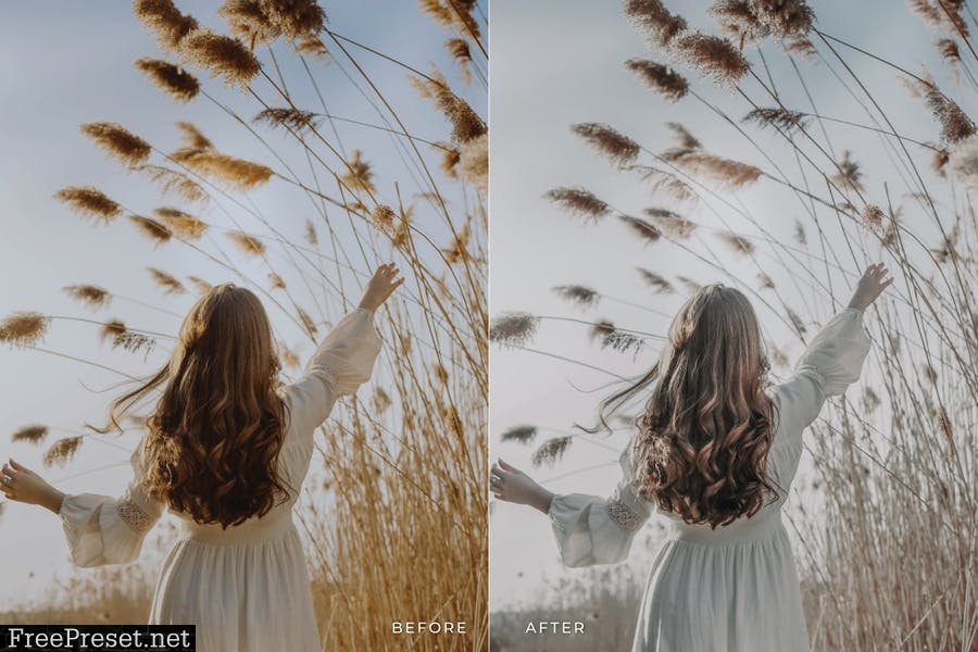 Davallia Mobile and Desktop Lightroom Presets