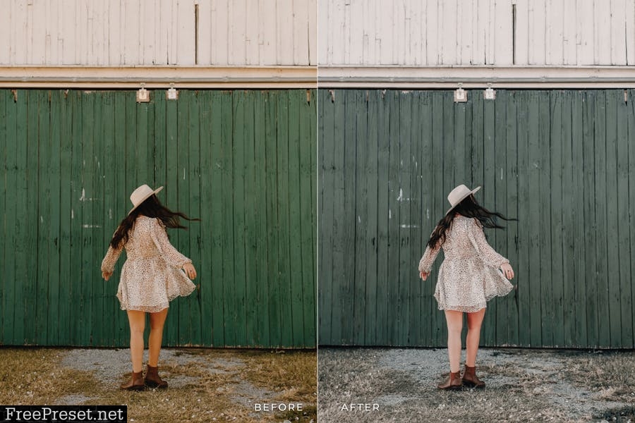 Davallia Mobile and Desktop Lightroom Presets