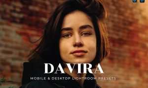 Davira Mobile and Desktop Lightroom Presets