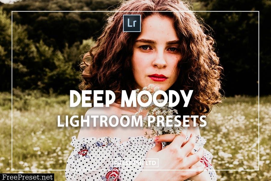 Deep Moody Presets