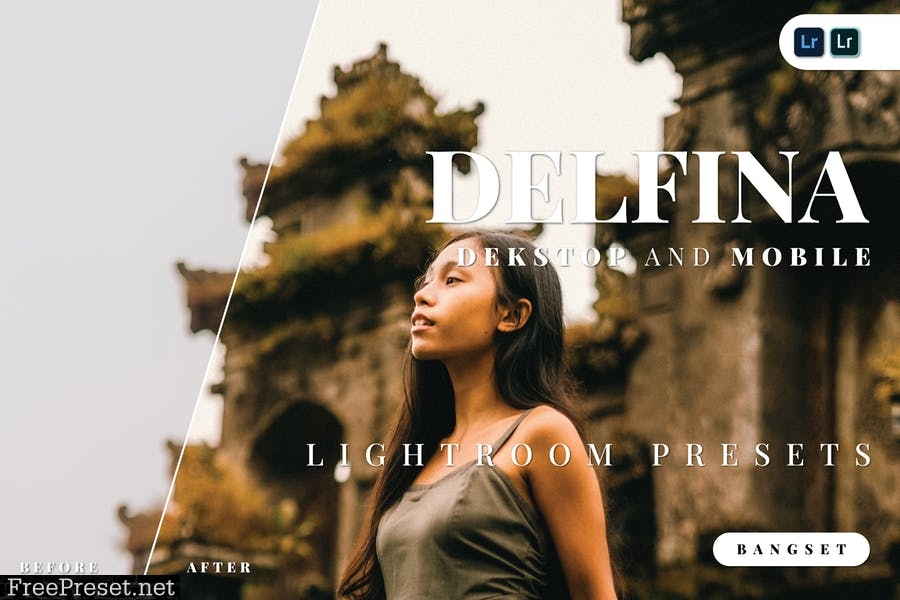 Delfina Desktop and Mobile Lightroom Preset