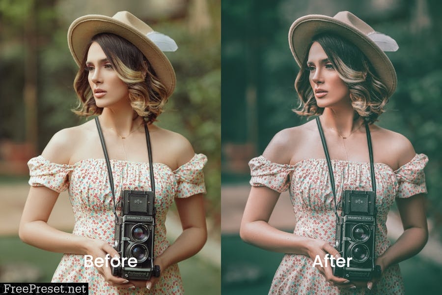 Disa Lightroom Presets Dekstop and Mobile