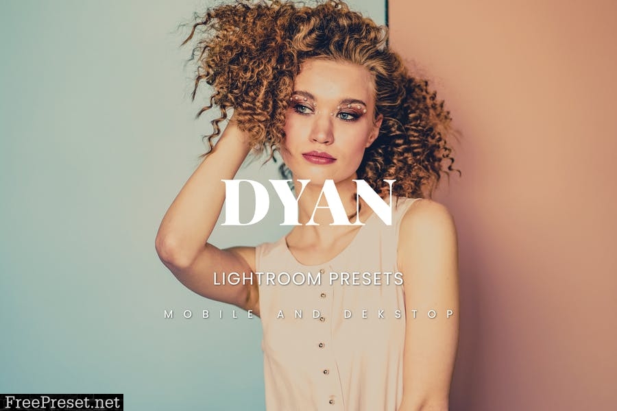 Dyan Lightroom Presets Dekstop and Mobile