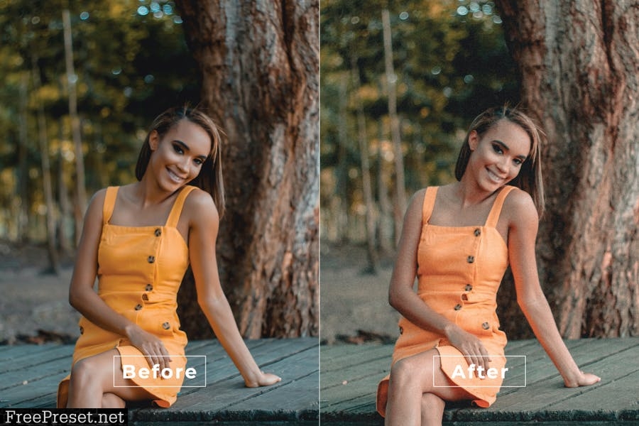 Effemy Desktop and Mobile Lightroom Preset