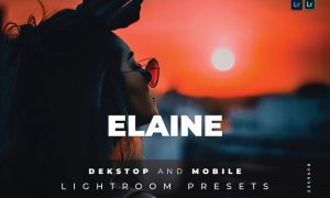 Elaine Desktop and Mobile Lightroom Preset