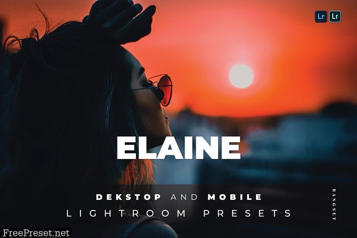 Elaine Desktop and Mobile Lightroom Preset