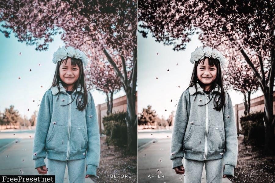 Elavarasi Mobile and Desktop Lightroom Presets