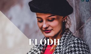 Elodie Mobile and Desktop Lightroom Presets
