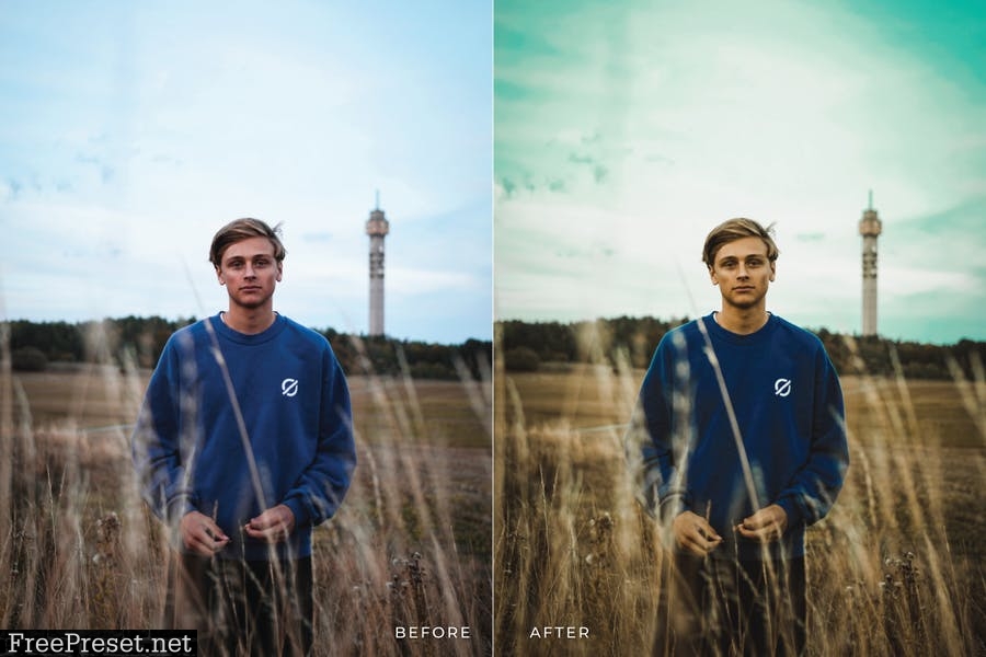 Embun Mobile and Desktop Lightroom Presets