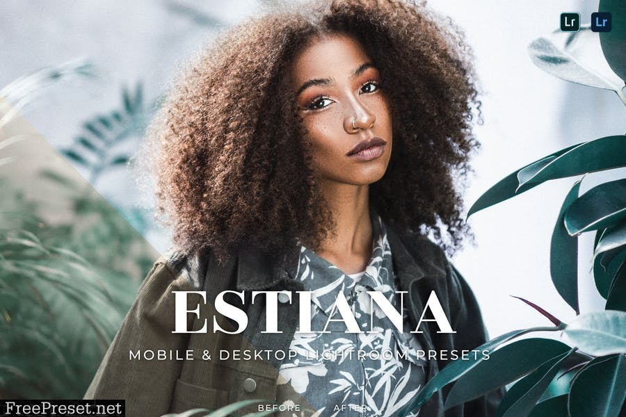 Estiana Mobile and Desktop Lightroom Presets