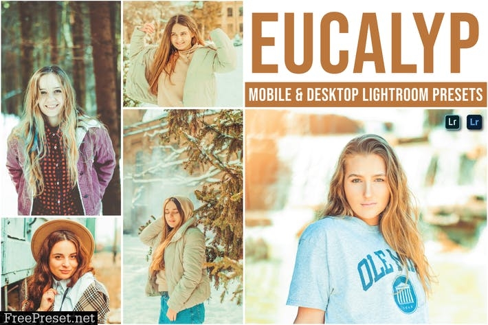 Eucalyp Mobile and Desktop Lightroom Presets