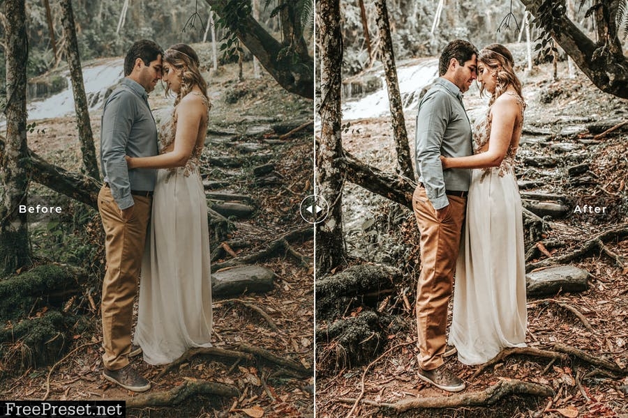 Fall Wedding Mobile & Desktop Lightroom Presets