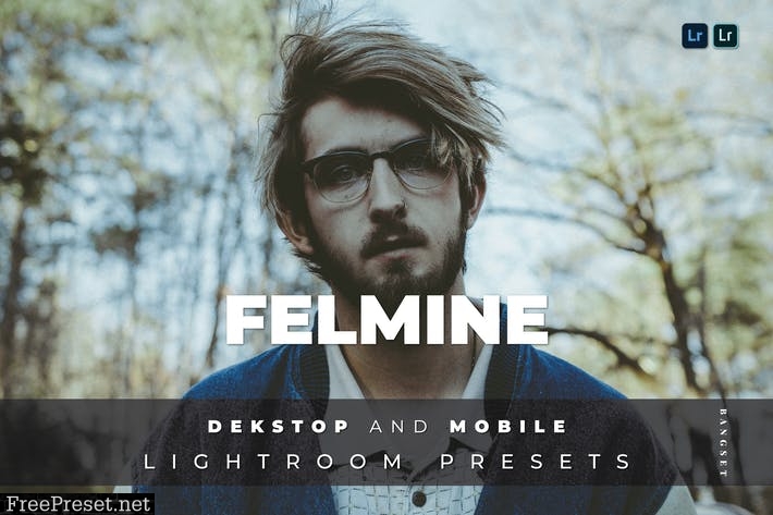 Felmine Desktop and Mobile Lightroom Preset