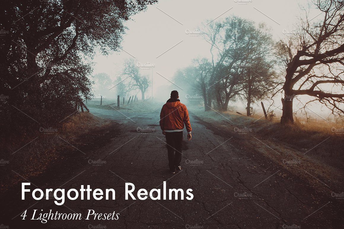 Forgotten Realms-4 Lightroom Presets 400125