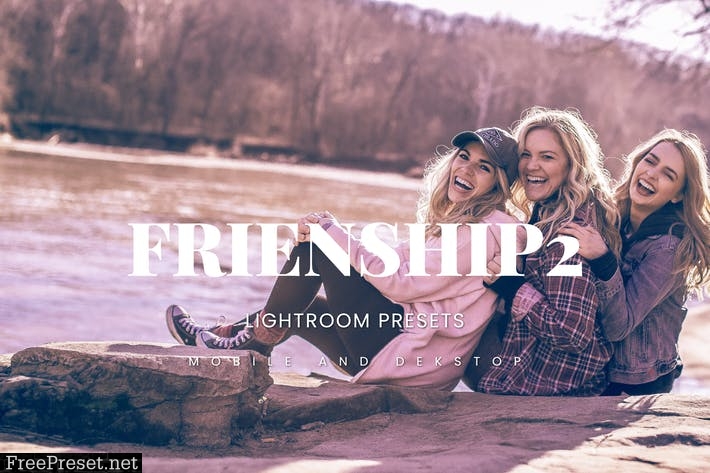 Friendship2 Lightroom Presets Dekstop and Mobile
