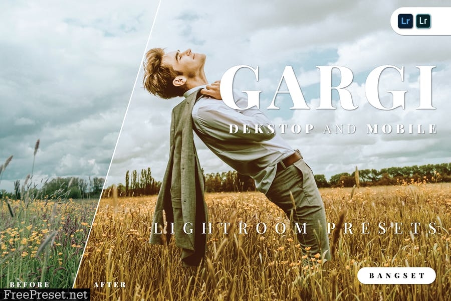 Gargi Desktop and Mobile Lightroom Preset