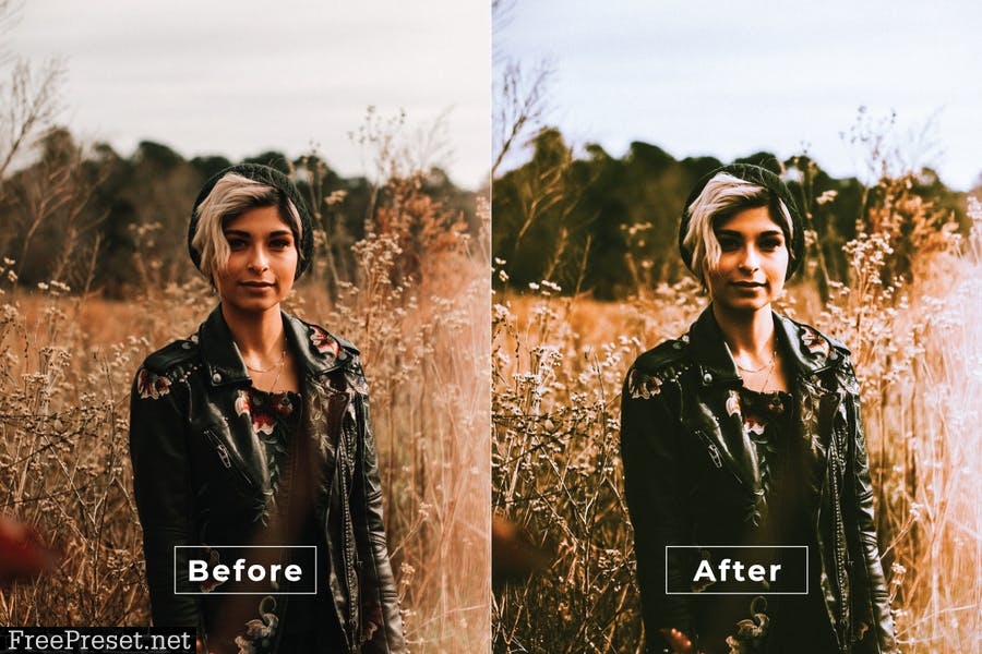 Garima Desktop and Mobile Lightroom Preset