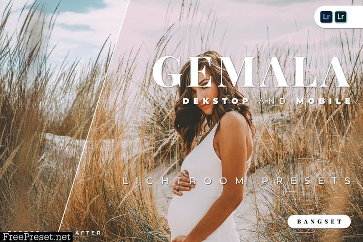 Gemala Desktop and Mobile Lightroom Preset