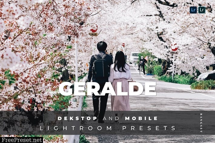 Geralde Desktop and Mobile Lightroom Preset