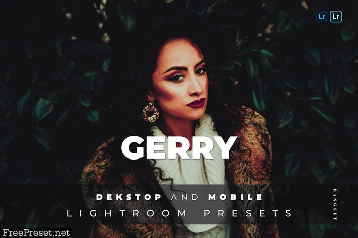 Gerry Desktop and Mobile Lightroom Preset