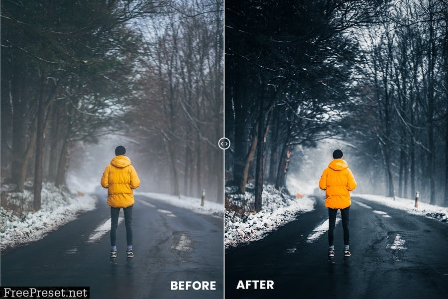 Golden Shadow Action & Lightrom Presets