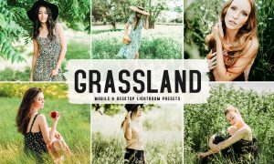 Grassland Mobile & Desktop Lightroom Presets