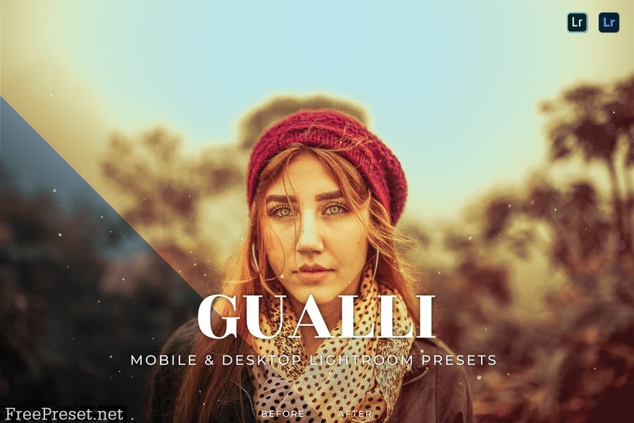 Gualli Mobile and Desktop Lightroom Presets