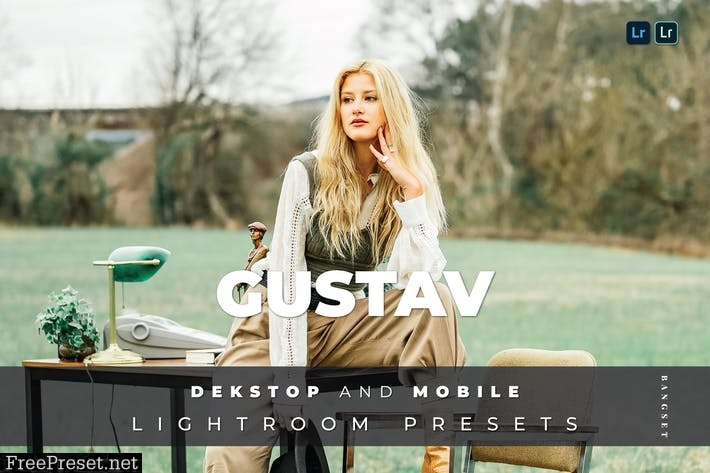 Gustav Desktop and Mobile Lightroom Preset