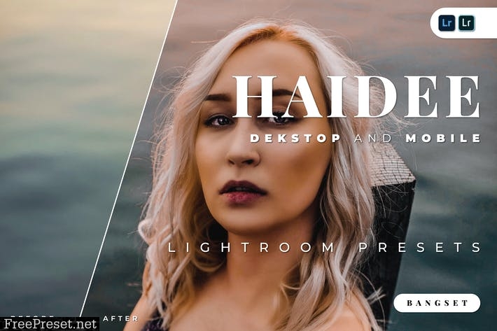 Haidee Desktop and Mobile Lightroom Preset