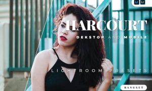 Harcourt Desktop and Mobile Lightroom Preset