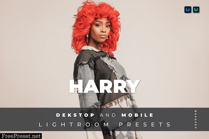 Harry Desktop and Mobile Lightroom Preset