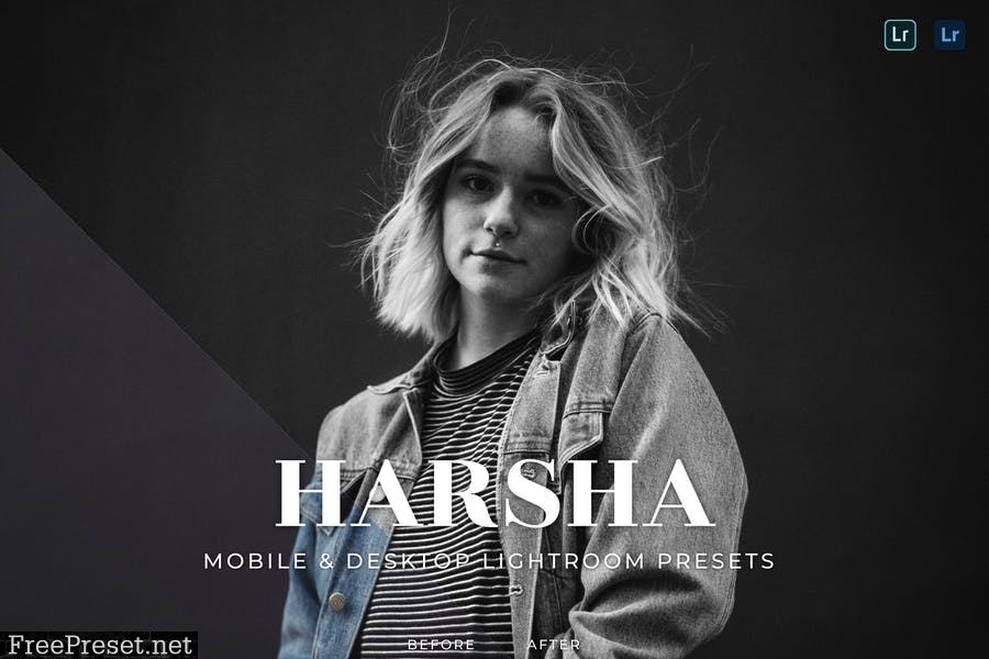 Harsha Mobile and Desktop Lightroom Presets