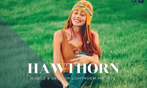 Hawthorn Mobile and Desktop Lightroom Presets