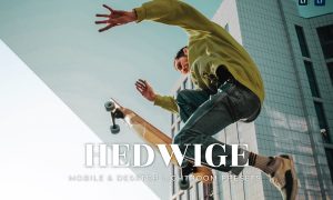 Hedwige Mobile and Desktop Lightroom Presets