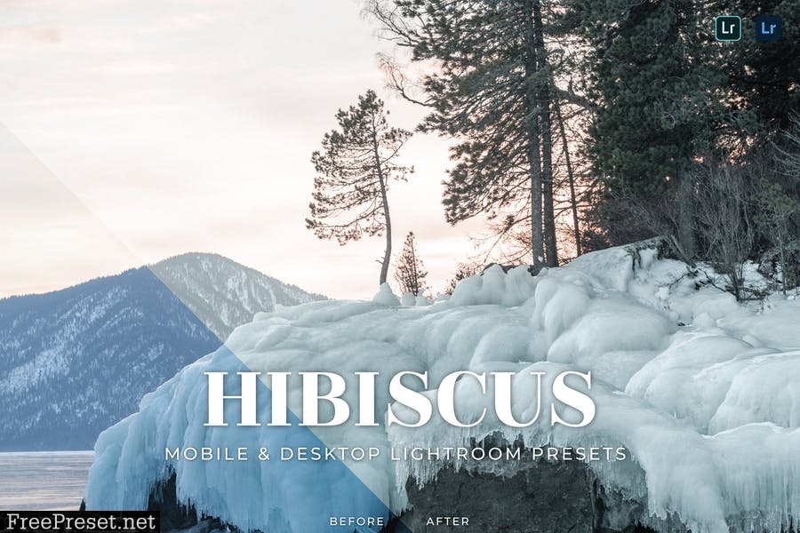 Hibiscus Mobile and Desktop Lightroom Presets