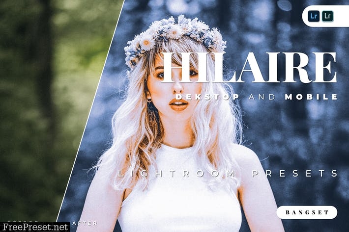 Hilaire Desktop and Mobile Lightroom Preset