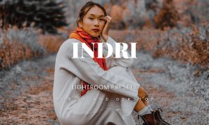 Indri Lightroom Presets Dekstop and Mobile