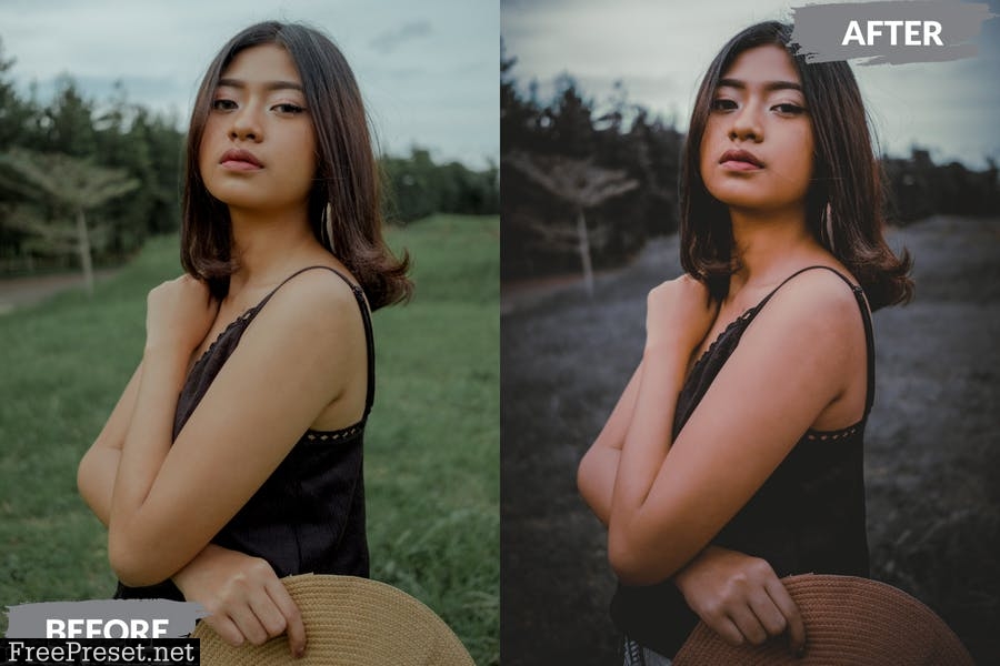 Inzagi Lightroom Presets Dekstop and Mobile