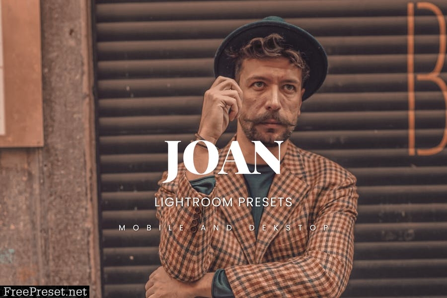 Joan Lightroom Presets Dekstop and Mobile