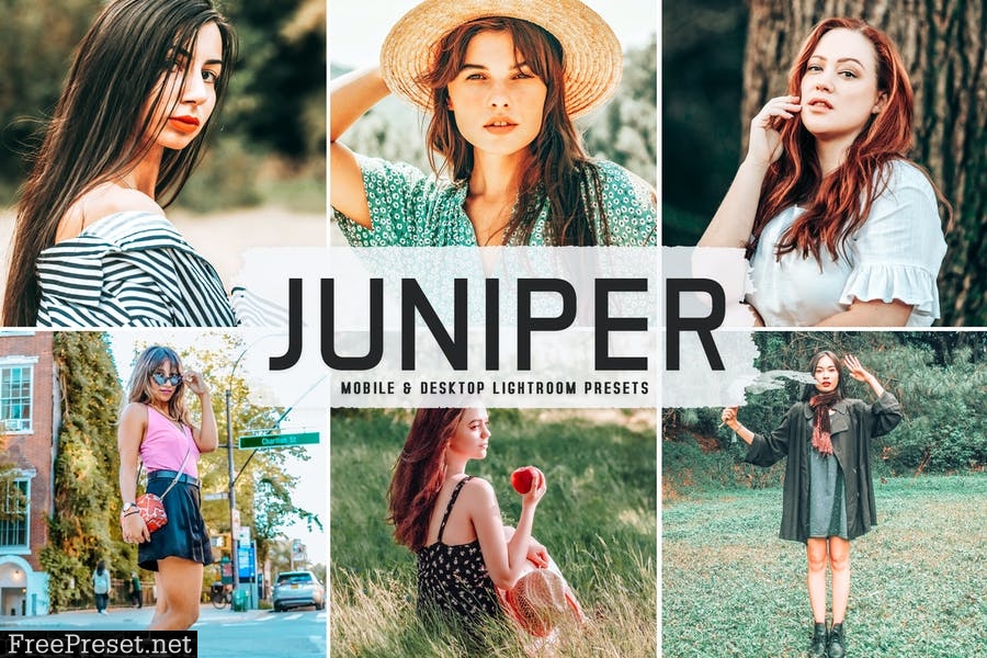 Juniper Mobile & Desktop Lightroom Presets