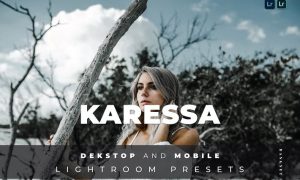 Karessa Desktop and Mobile Lightroom Preset