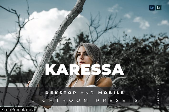 Karessa Desktop and Mobile Lightroom Preset