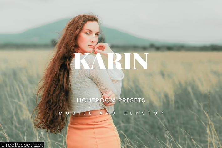 Karin Lightroom Presets Dekstop and Mobile