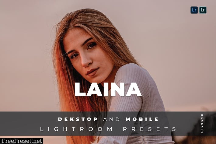 Laina Desktop and Mobile Lightroom Preset