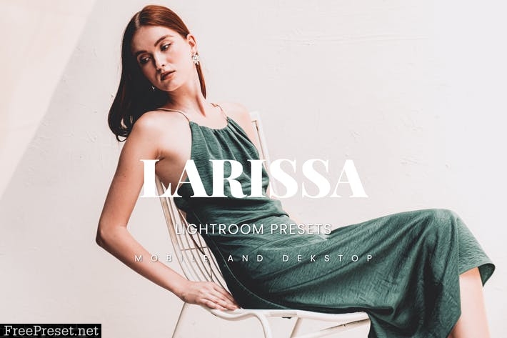 Larissa Lightroom Presets Dekstop and Mobile