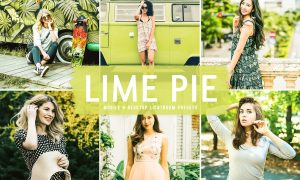 Lime Pie Mobile & Desktop Lightroom Presets