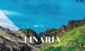 Linaria Mobile and Desktop Lightroom Presets
