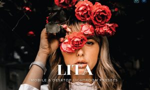 Lita Mobile and Desktop Lightroom Presets
