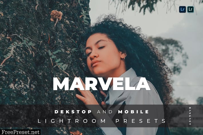 Marvela Desktop and Mobile Lightroom Preset